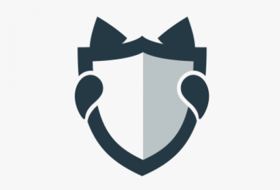 Hidemy.name VPN
